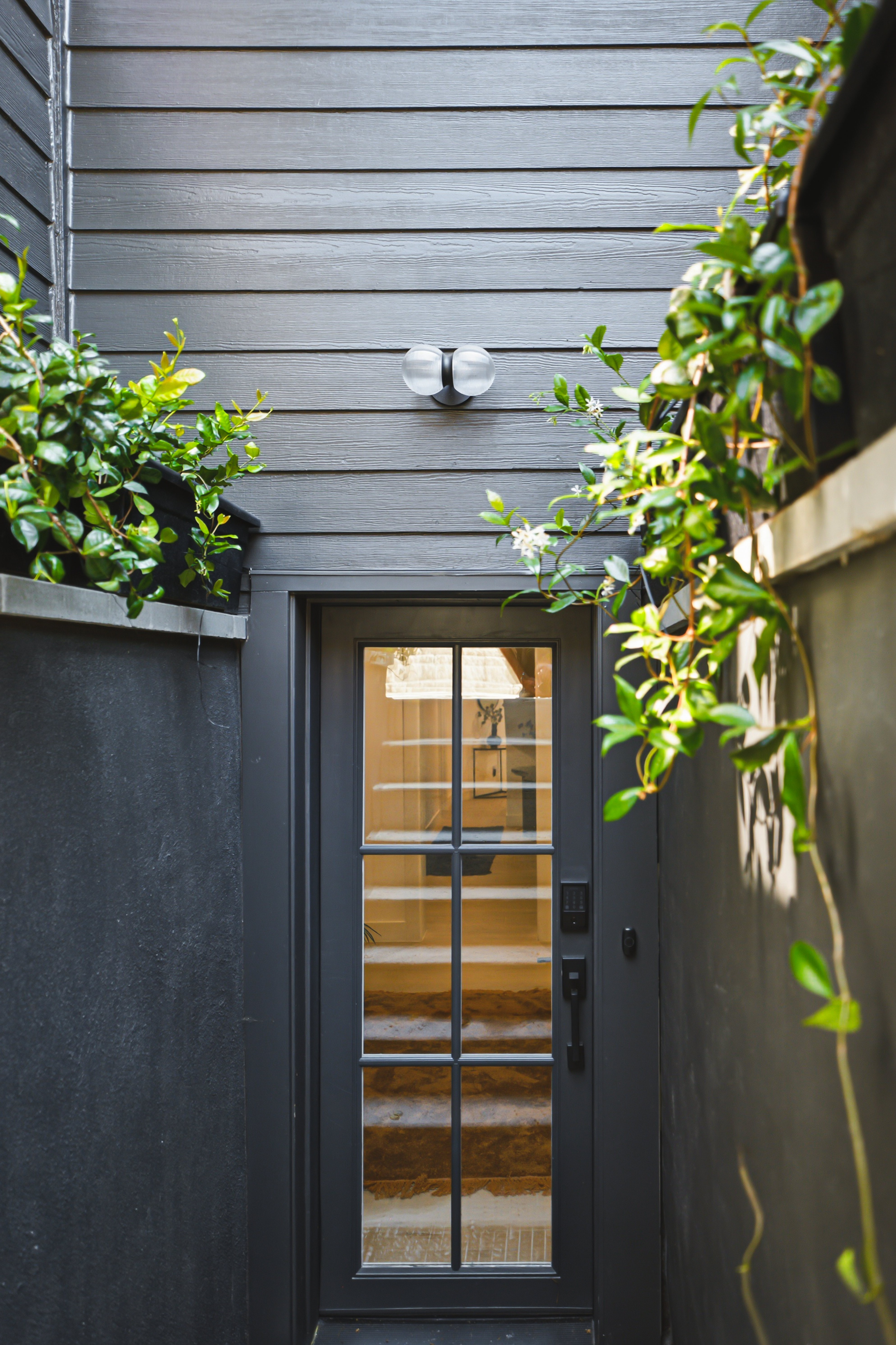 Star jasmine in flower over the entrance door